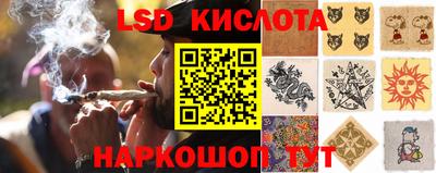 шишки Вышний Волочёк