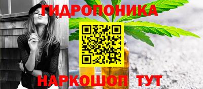 шишки Вышний Волочёк
