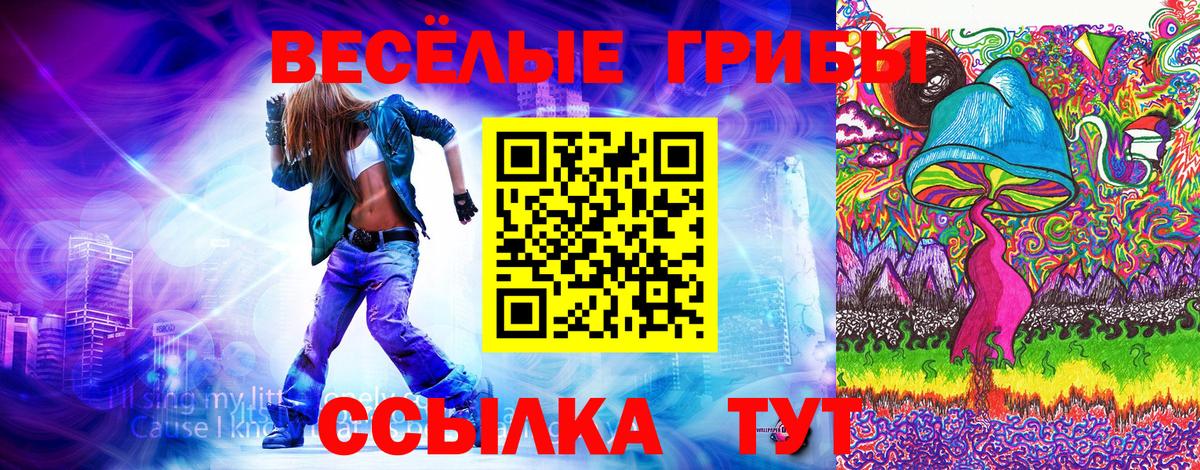 Псилоцибиновые грибы GOLDEN TEACHER  Вход с VPN  Воскресенск 